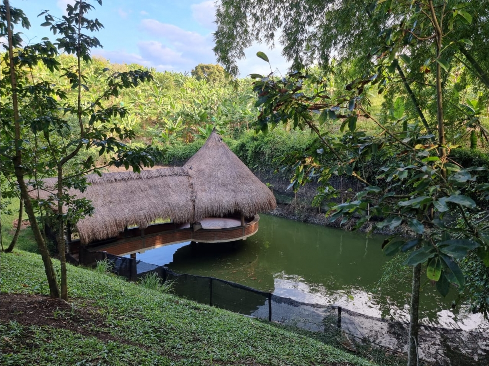 CASA CAMPESTRE POTENCIAL TURISTICO CON LAGO, PISCINA,JACUZZI Y SAUNA — foto 6