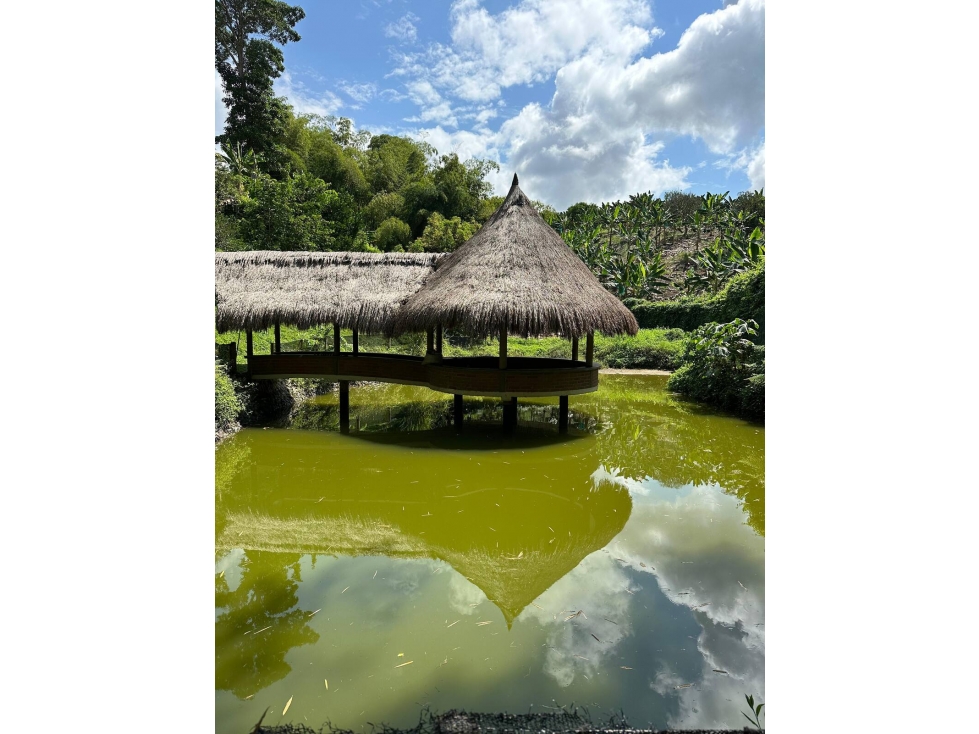 CASA CAMPESTRE POTENCIAL TURISTICO CON LAGO, PISCINA,JACUZZI Y SAUNA — foto 3