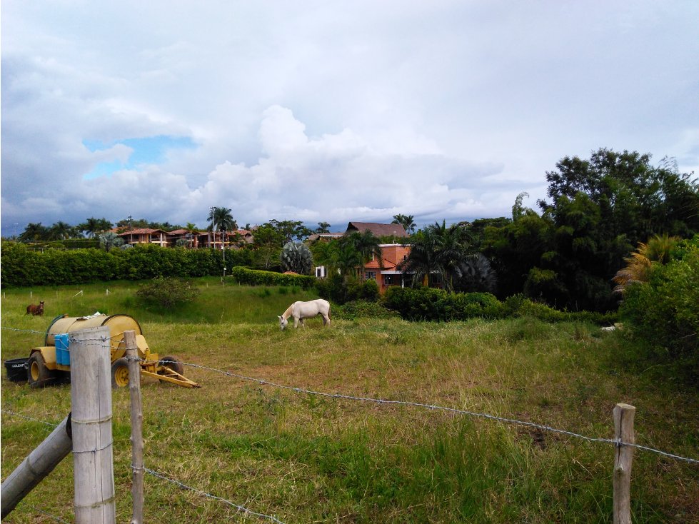 VENDO LOTE EN LA VIA CERRITOS LA VIRGINIA — foto 3