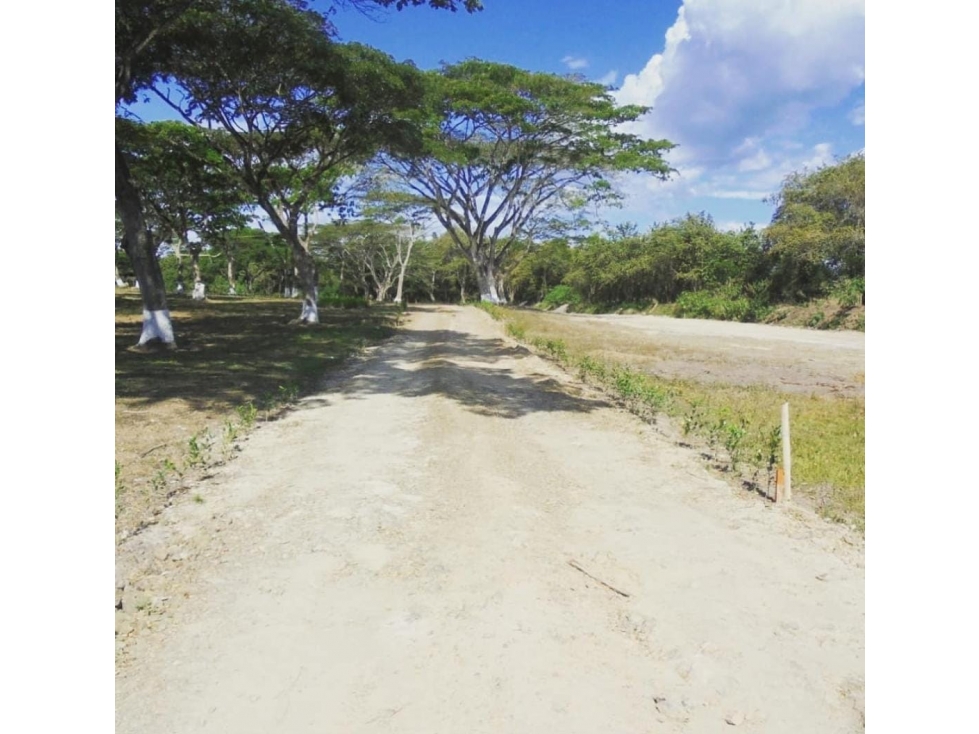 VENDO LOTE EN CONDOMINIO EN CARTAGO - 5