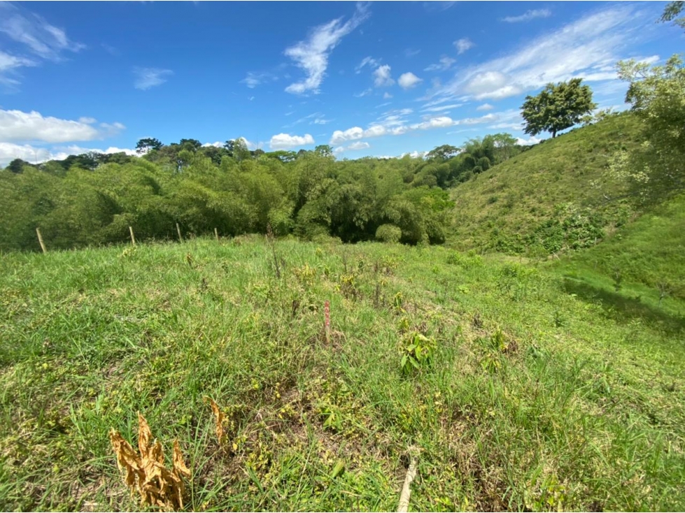 VENDO LOTE CAMPESTRE EN ALCALA VIA CARTAGO - 4