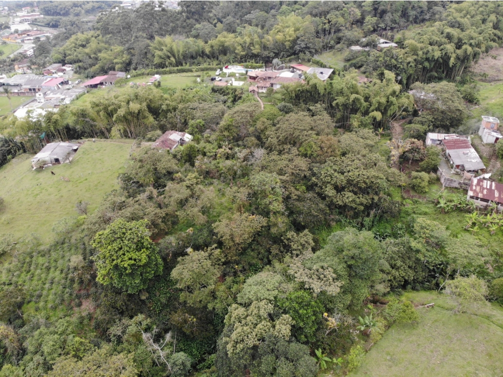 Se vende Finca con lote de terreno en Frailes - 4