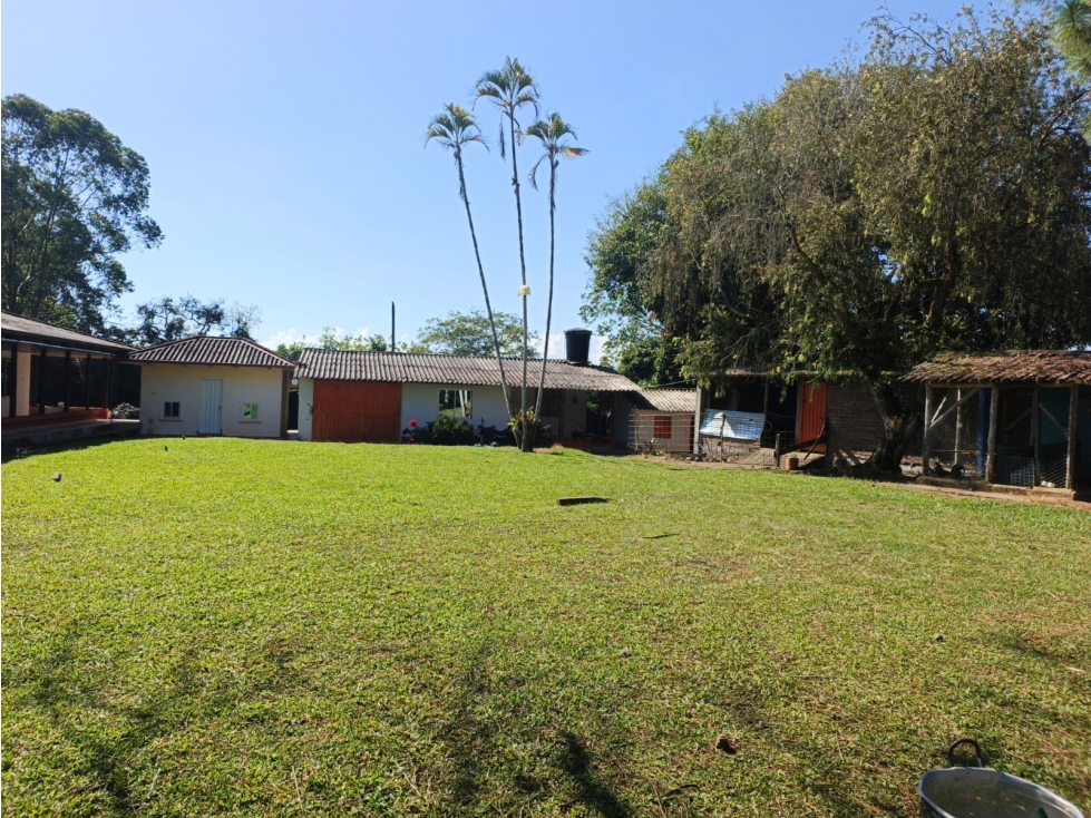 VENDO FINCA SOBRE LA VIA ALCALA PEREIRA — foto 3