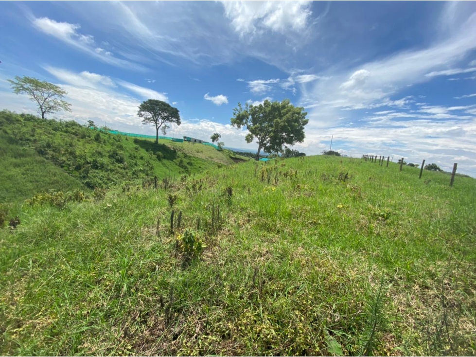 VENDO LOTE CAMPESTRE EN ALCALA VIA CARTAGO - 5