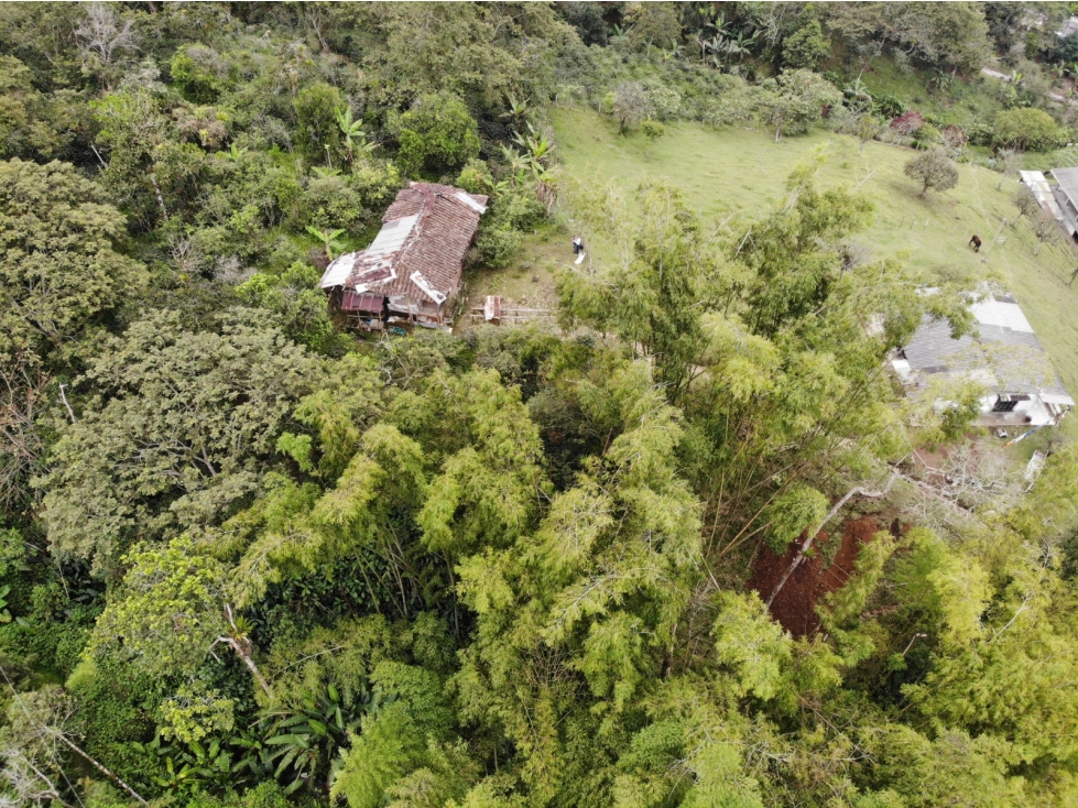 Se vende Finca con lote de terreno en Frailes - 5