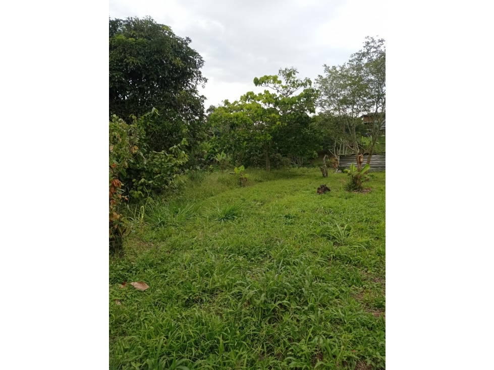 EN VENTA MAGNIFICO LOTE EN COMBIA — foto 5