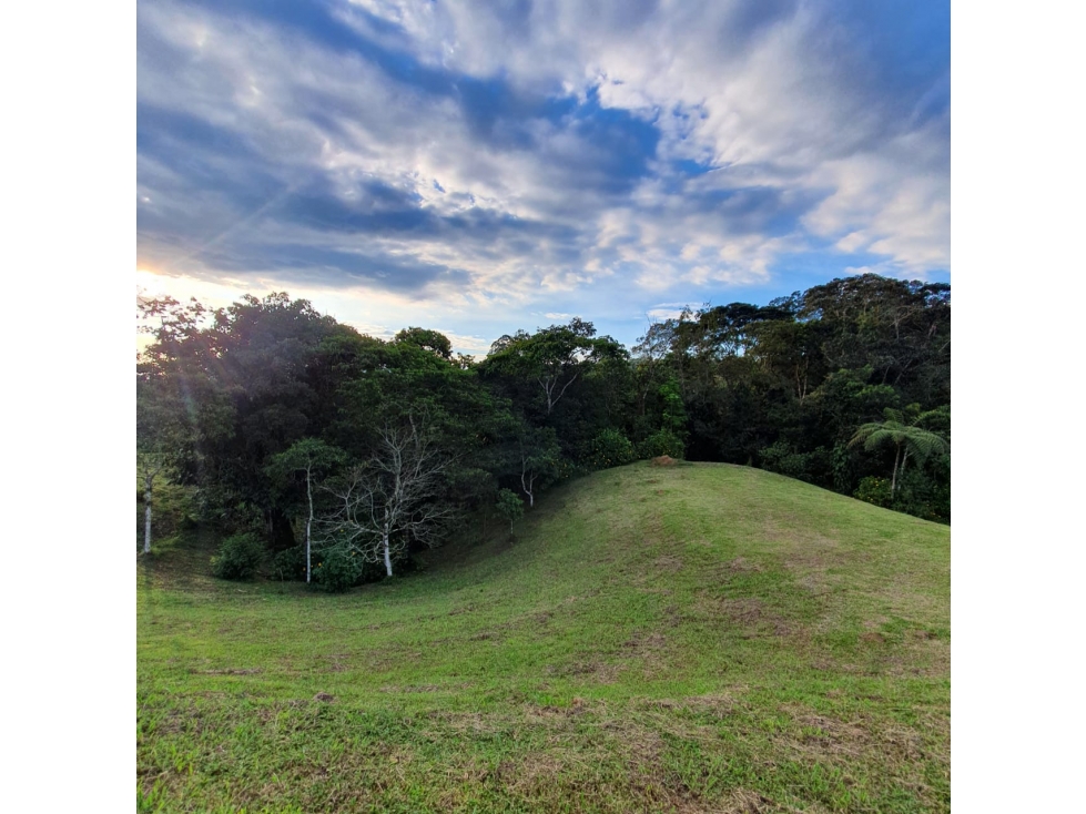 Lote en venta en Pereira Vía a Armenia — foto 4