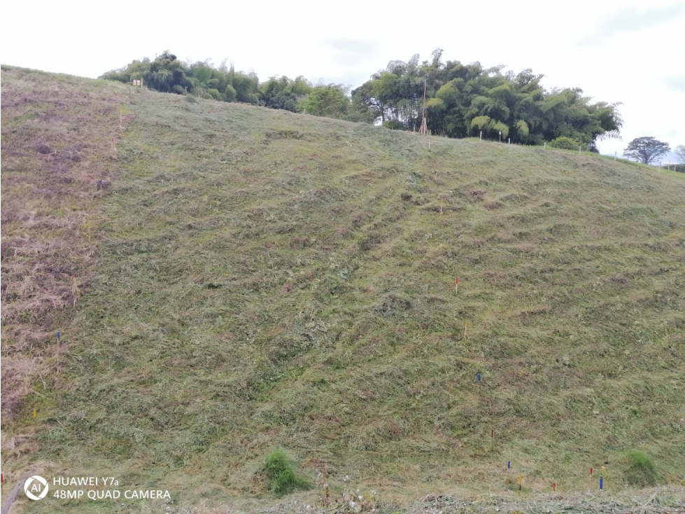 LOTE EN VENTA SECTOR VIA ALCALA - FILANDIA - 5
