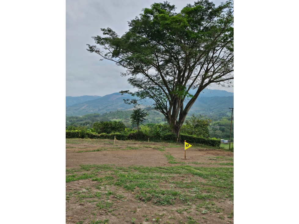 VENDO LOTES EN EL SECTOR DE RISARALDA CALDAS - 2