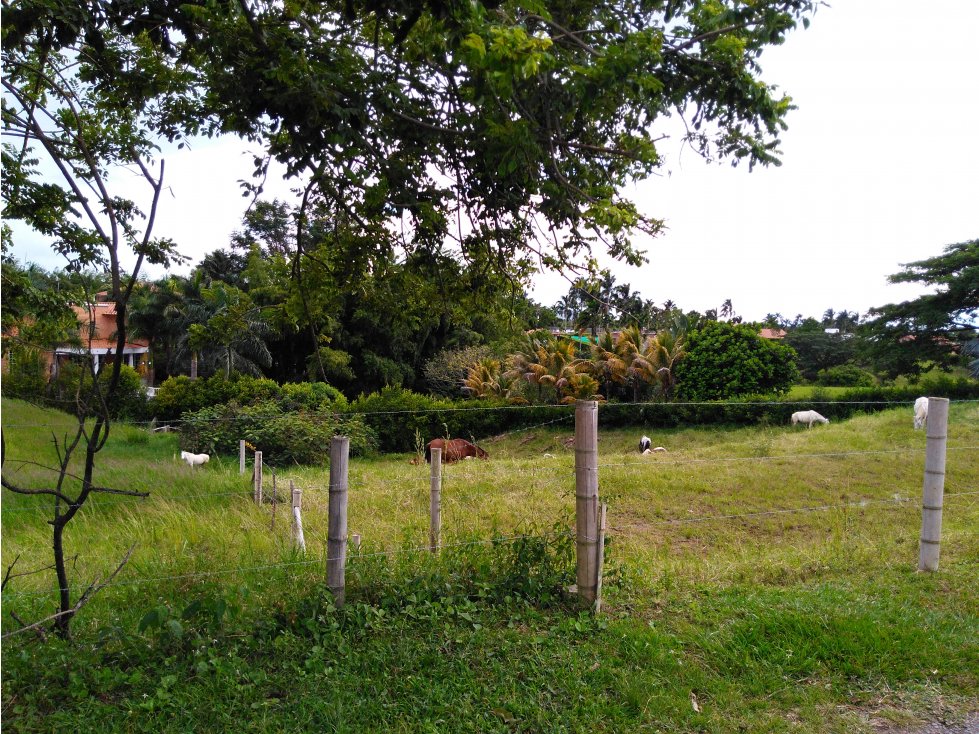 VENDO LOTE EN LA VIA CERRITOS LA VIRGINIA — foto 4