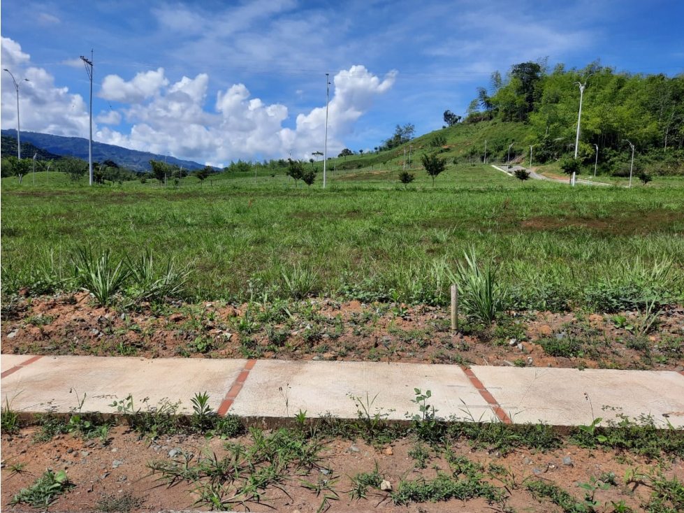 SE VENDE LOTE EN CONDOMINIO CAMPESTRE - 3