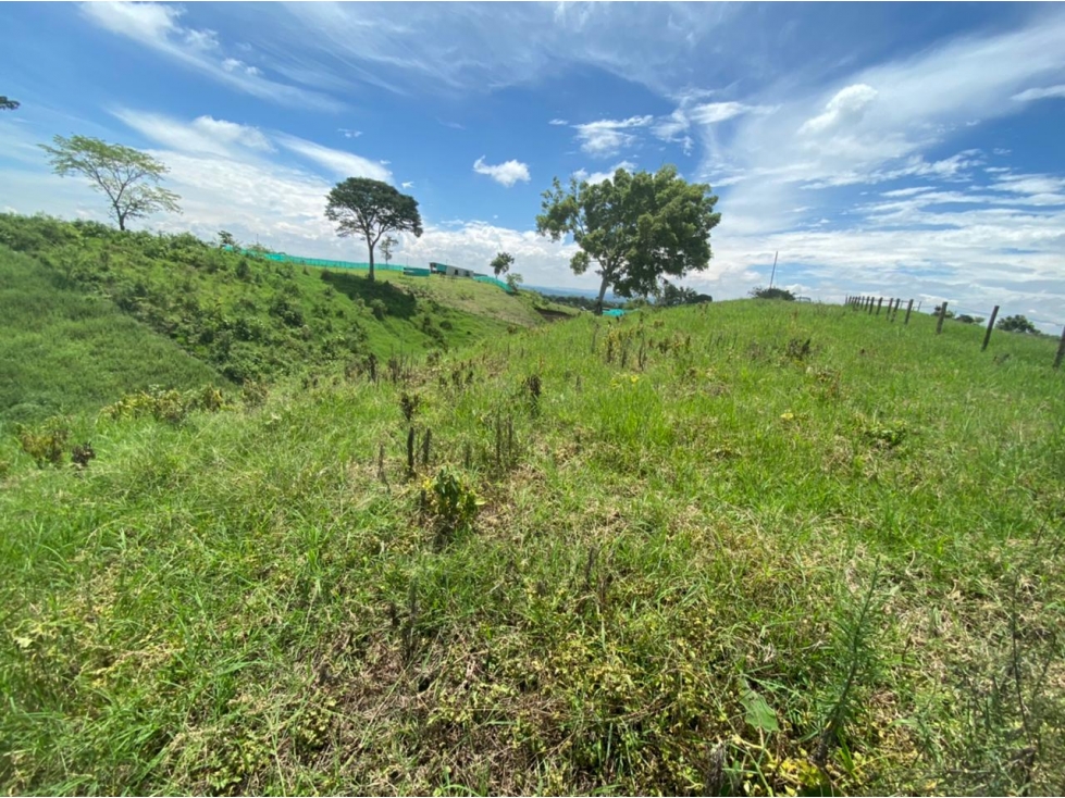 VENDO LOTE CAMPESTRE EN ALCALA VIA CARTAGO - 6
