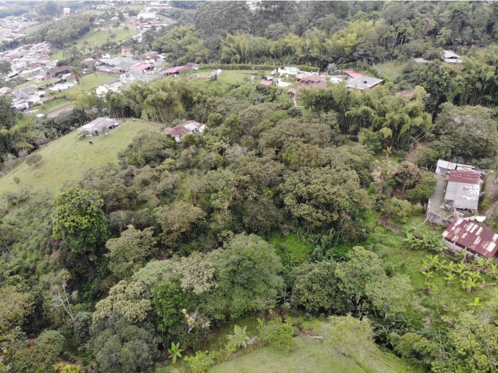 Se vende Finca con lote de terreno en Frailes - 6