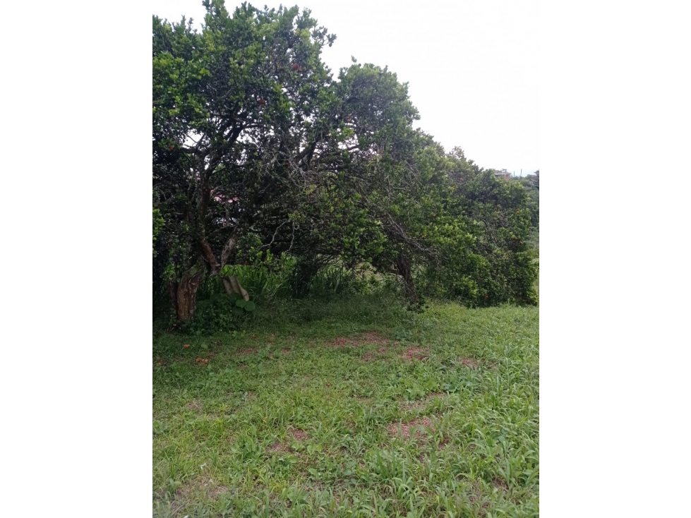 EN VENTA MAGNIFICO LOTE EN COMBIA — foto 6