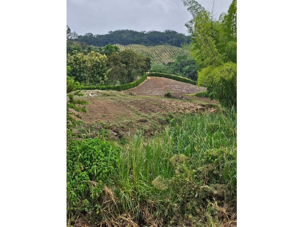 VENDO LOTES EN EL SECTOR DE RISARALDA CALDAS - 6