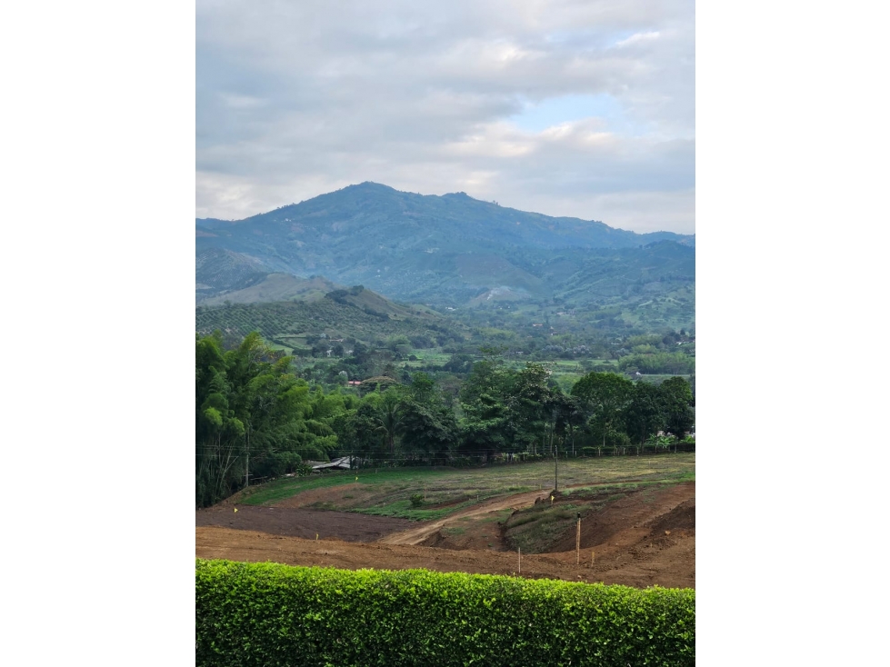 VENDO LOTES EN EL SECTOR DE RISARALDA CALDAS - 1