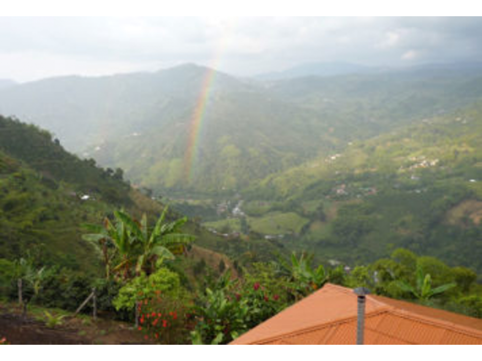 VENDO FINCA DE ALOJAMIENTO EN LA BELLA — foto 5