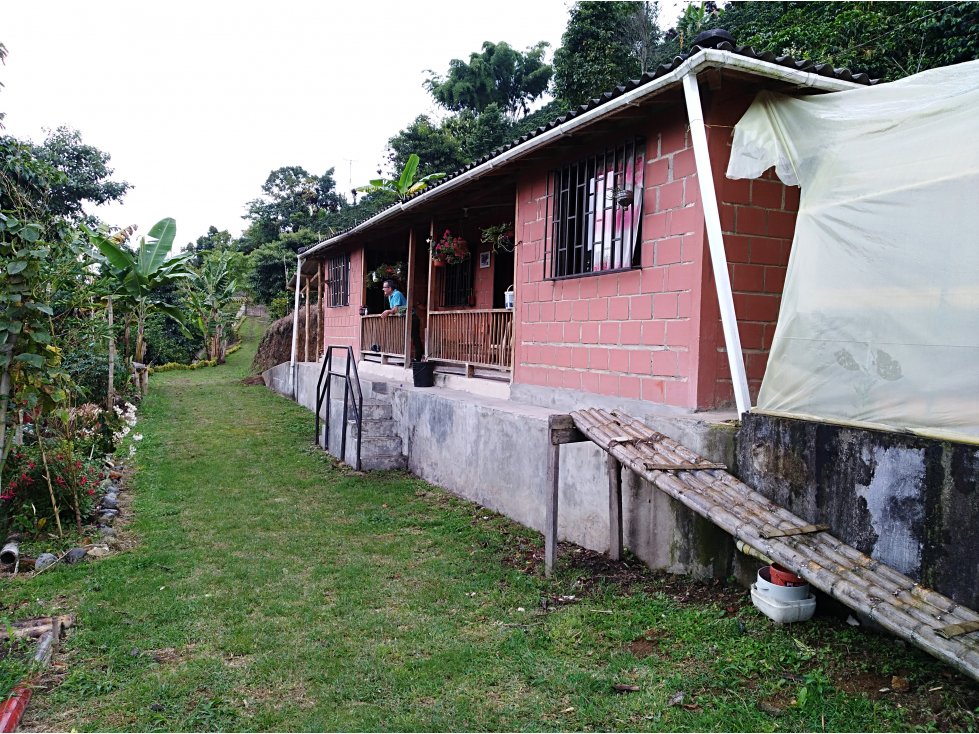 Vendo Finca Cafetera en La Bella Pereira