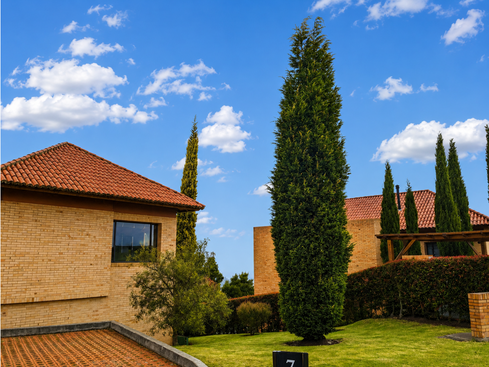 Casa en arriendo o venta Chia Encenillos de Sindamanoy — foto 3