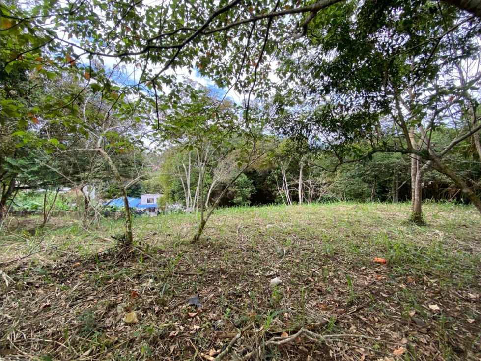VENTA LOTE CORREGUIMIENTO LA BUITRERA — foto 2