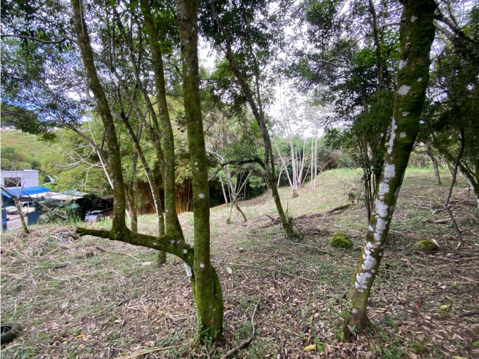 VENTA LOTE CORREGUIMIENTO LA BUITRERA — foto 4