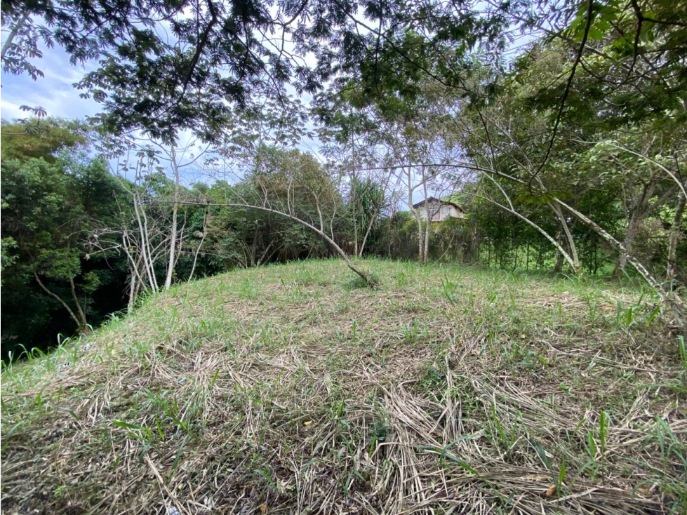 VENTA LOTE CORREGUIMIENTO LA BUITRERA — foto 5