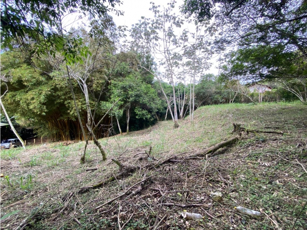 VENTA LOTE CORREGUIMIENTO LA BUITRERA — foto 6