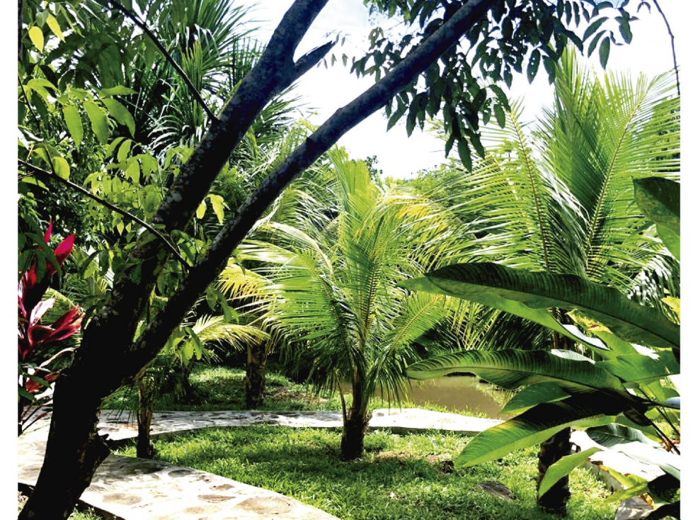 PROPIEDADES EN LINDO CONDOMINIO DE CAMPO — foto 2