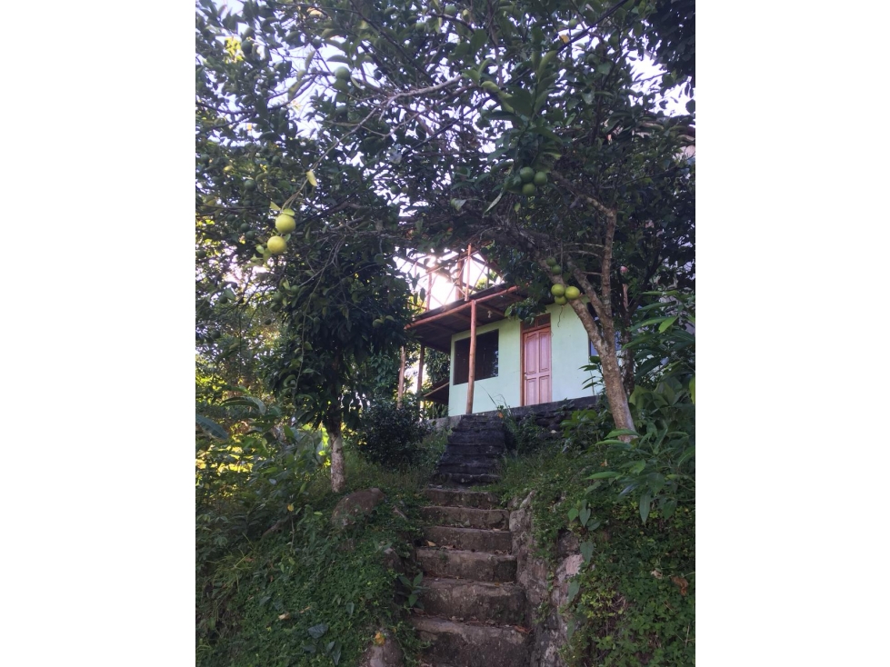 Casa con Jardin y Vista en San Roque de Cumbaza