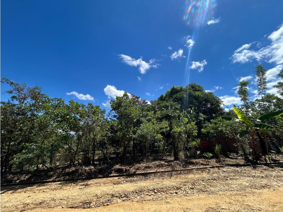 Terreno de 2,600 m² de naturaleza y tranquilidad - 1