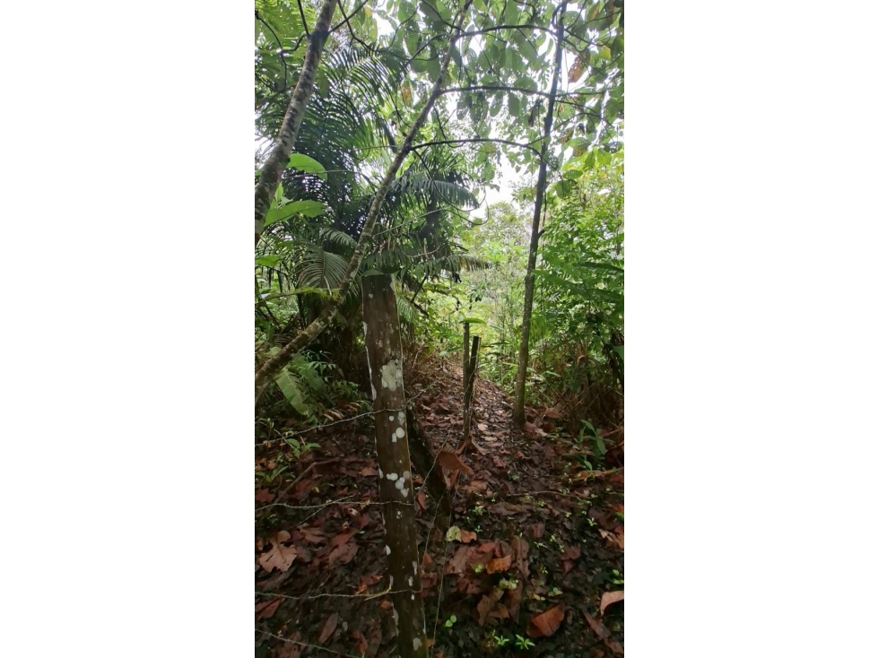 HERMOSO TERRENO EN SAN ROQUE DE CUMBAZA — foto 6