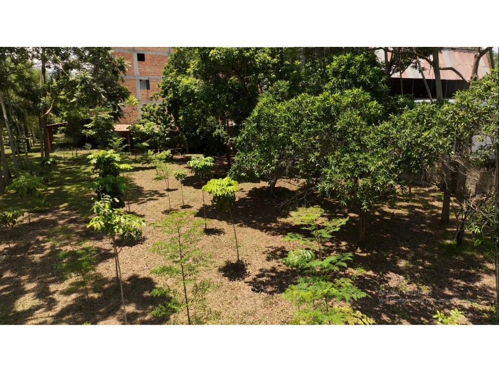 Terreno en Morales - 2
