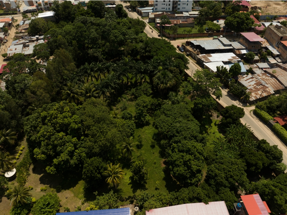 EXCELENTE TERRENO EN VENTA CON ARBOLES FRUTALES - 2