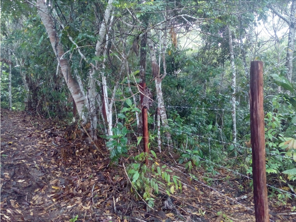 HERMOSO TERRENO EN SAN ROQUE DE CUMBAZA — foto 2