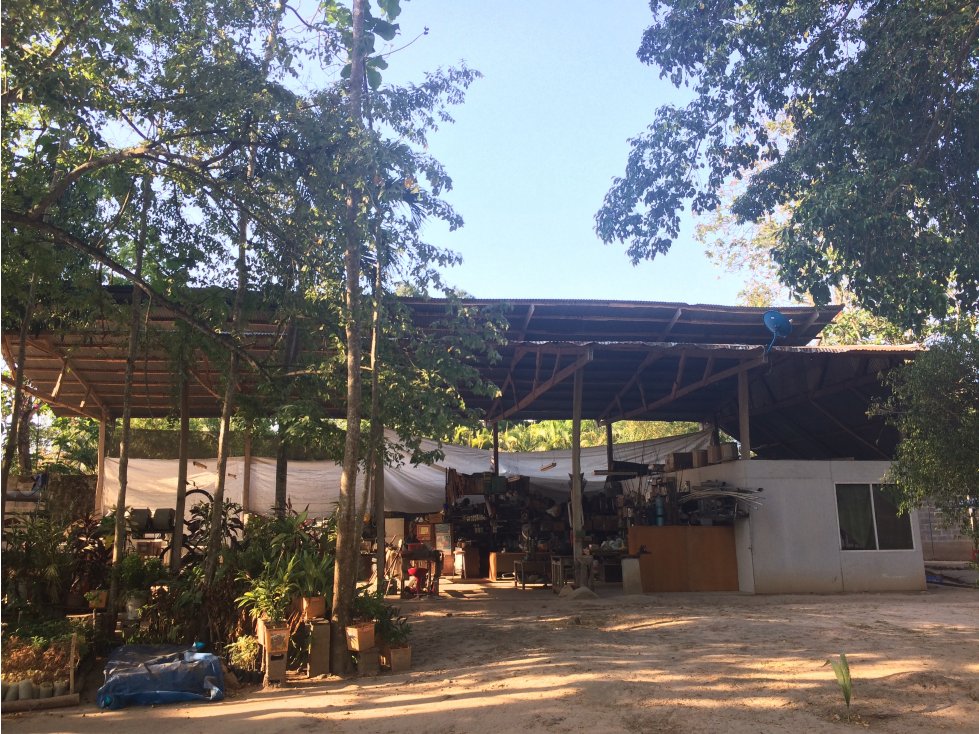 Venta de Excelente Terreno y Casa - 5
