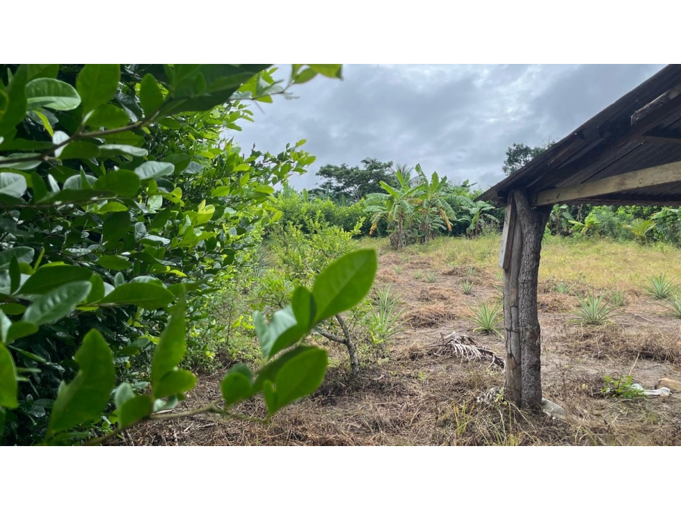 ¡Oportunidad única! Terreno de 960 m² cerca de la Laguna Venecia - 5