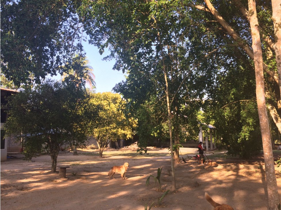 Venta de Excelente Terreno y Casa - 6