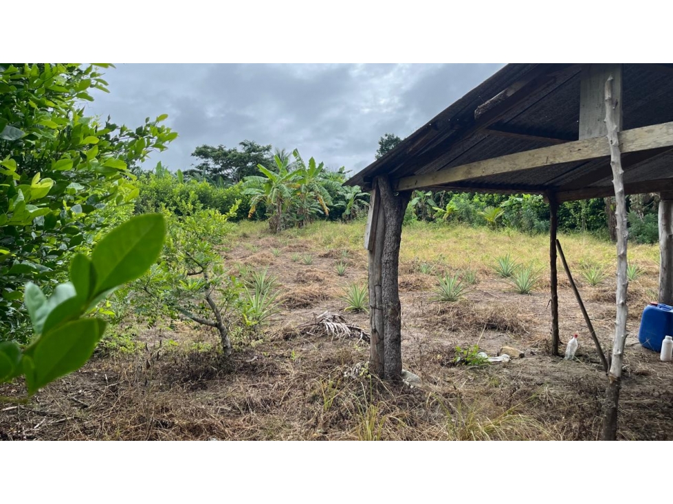 ¡Oportunidad única! Terreno de 960 m² cerca de la Laguna Venecia - 6