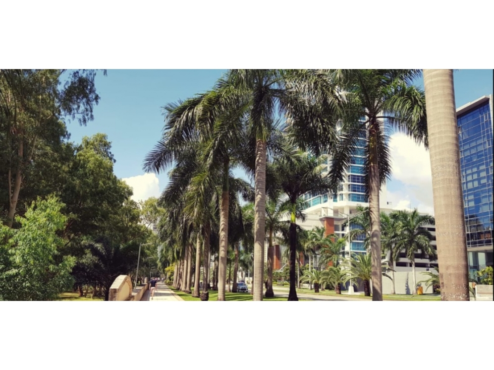 Parkside 2 Recamaras Linea Blanca Vista al Parque Costa del Este - MJ — foto 3