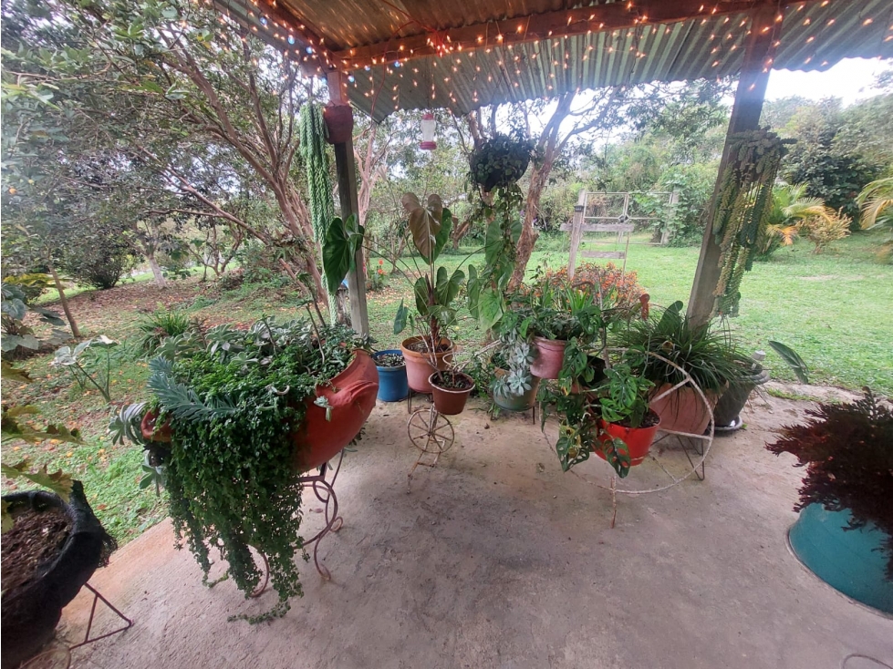 Venta de Finca en el Queremal