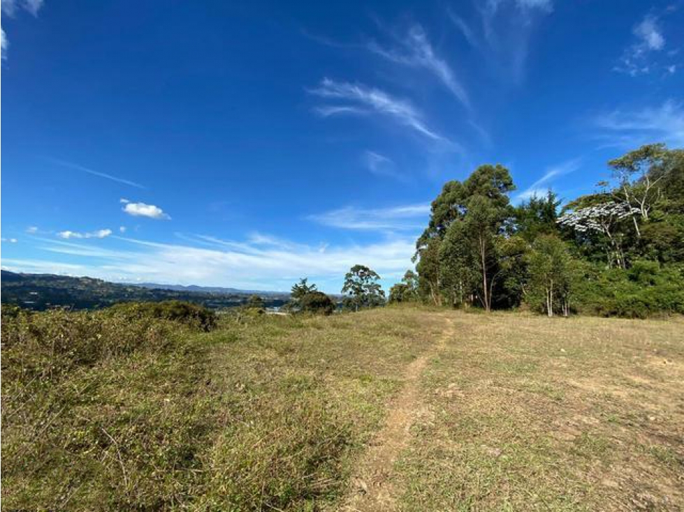 Espectacular lote en Llanogrande de 24.000 mt