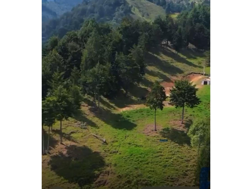 Amplio lote con vista a Medellín y entorno natural en Envigado.