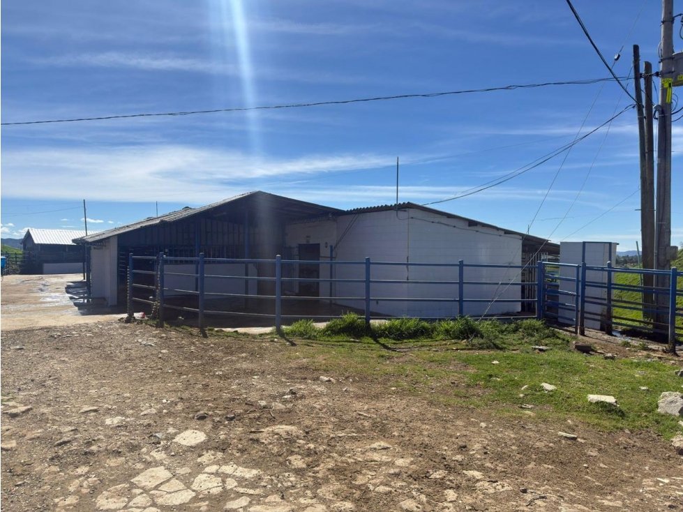 204 hectáreas de productividad, rentabilidad y potencial de inversión — foto 4