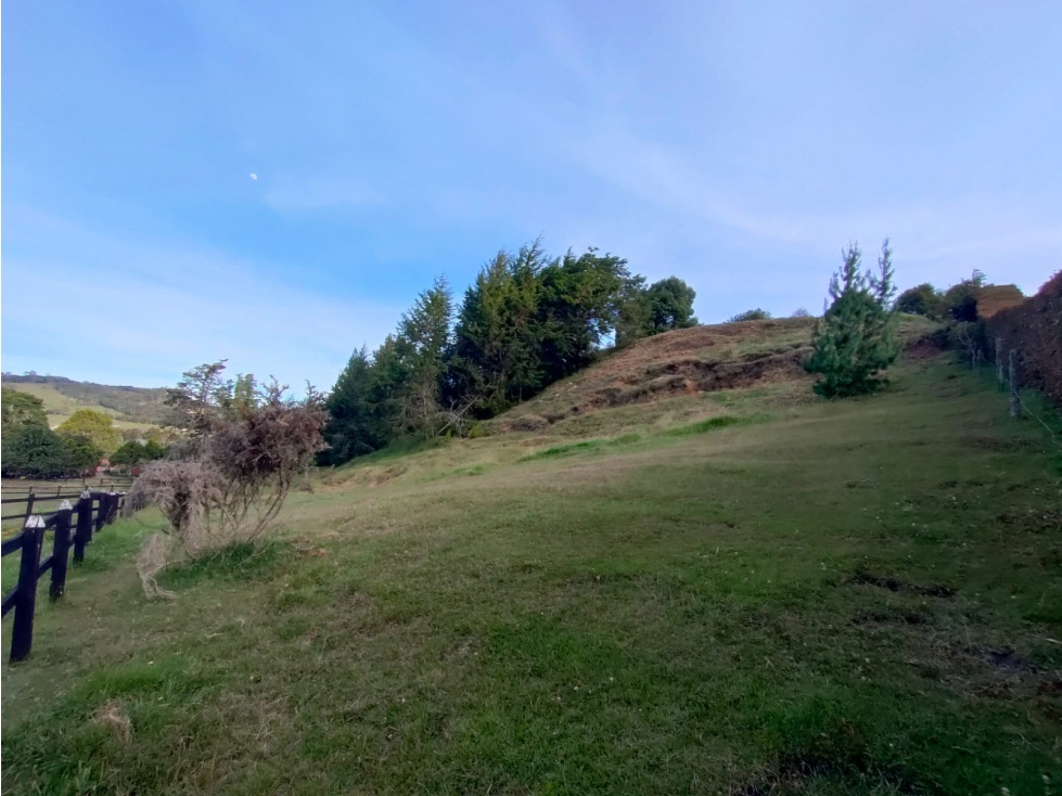 Espectacular lote en el Alto de Palmas al mejor precio! — foto 2