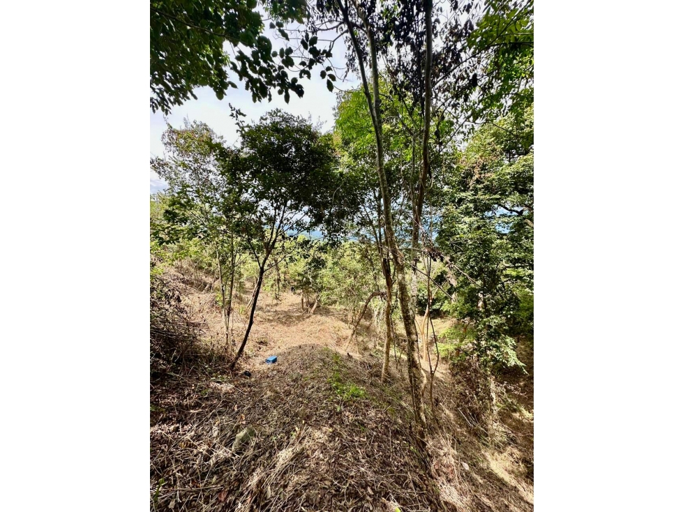 Lote en parcelación ubicado en Santa fe de antioquia de 3.053 metros — foto 2