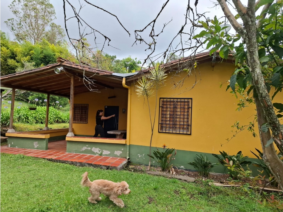 Vive la tranquilidad que mereces, rodeado de naturaleza — foto 2