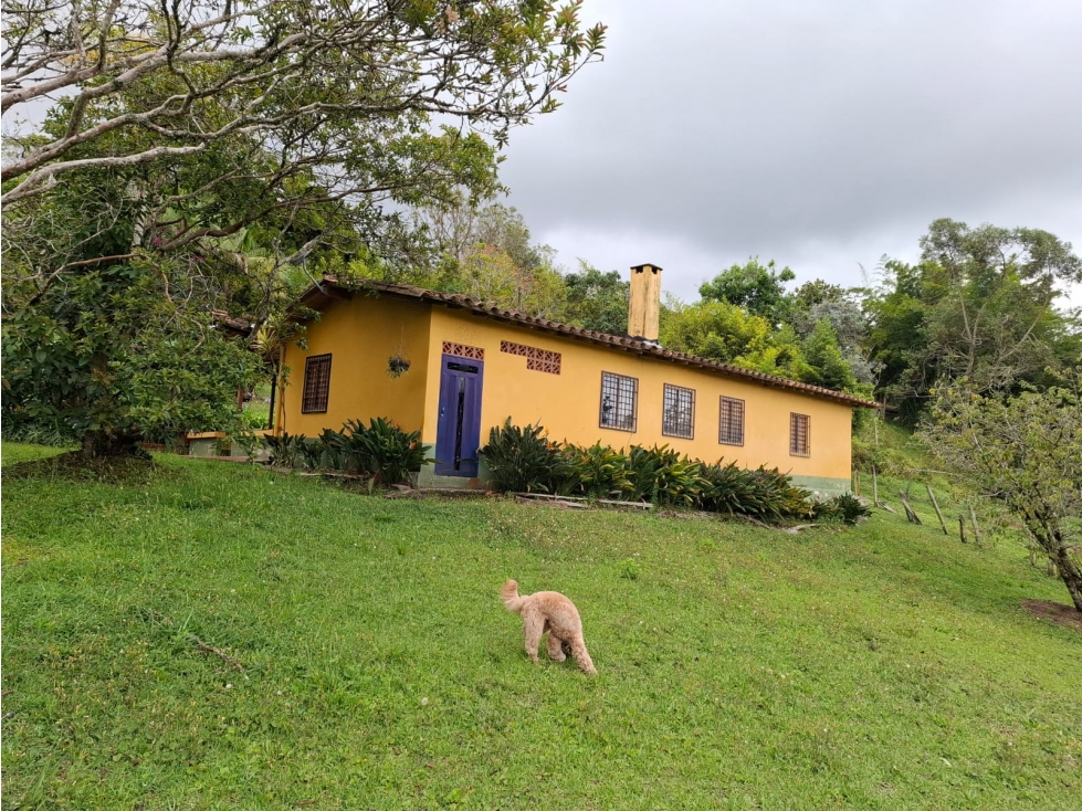 Vive la tranquilidad que mereces, rodeado de naturaleza — foto 3