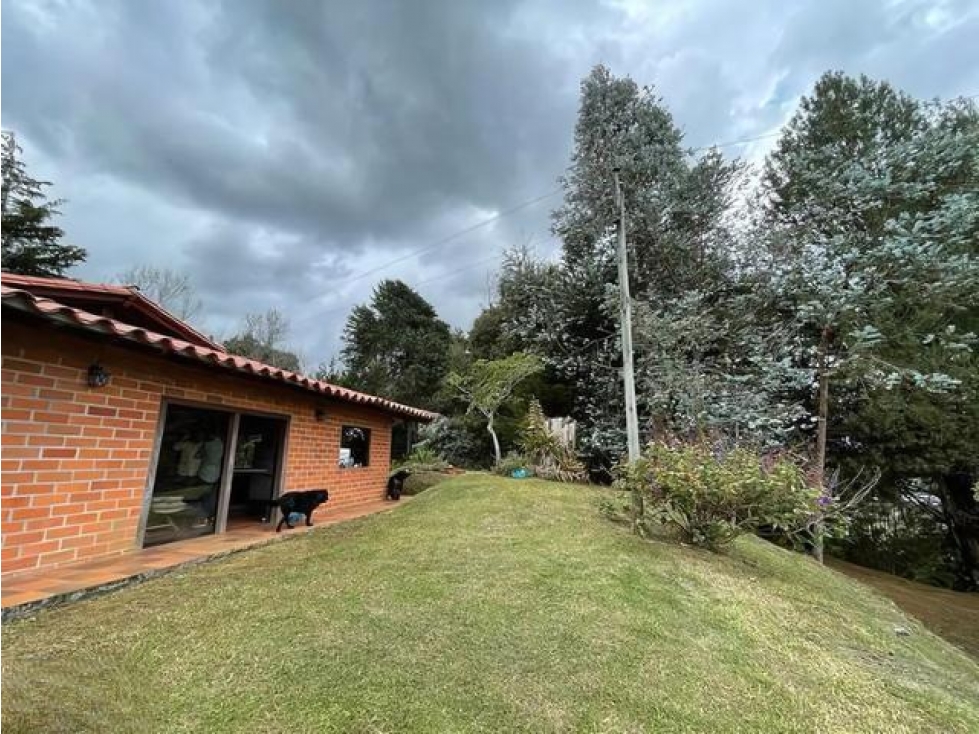 LOTE DE GRAN EXTENSIÓN PARA DESARROLLO INMOBILIARIO — foto 4