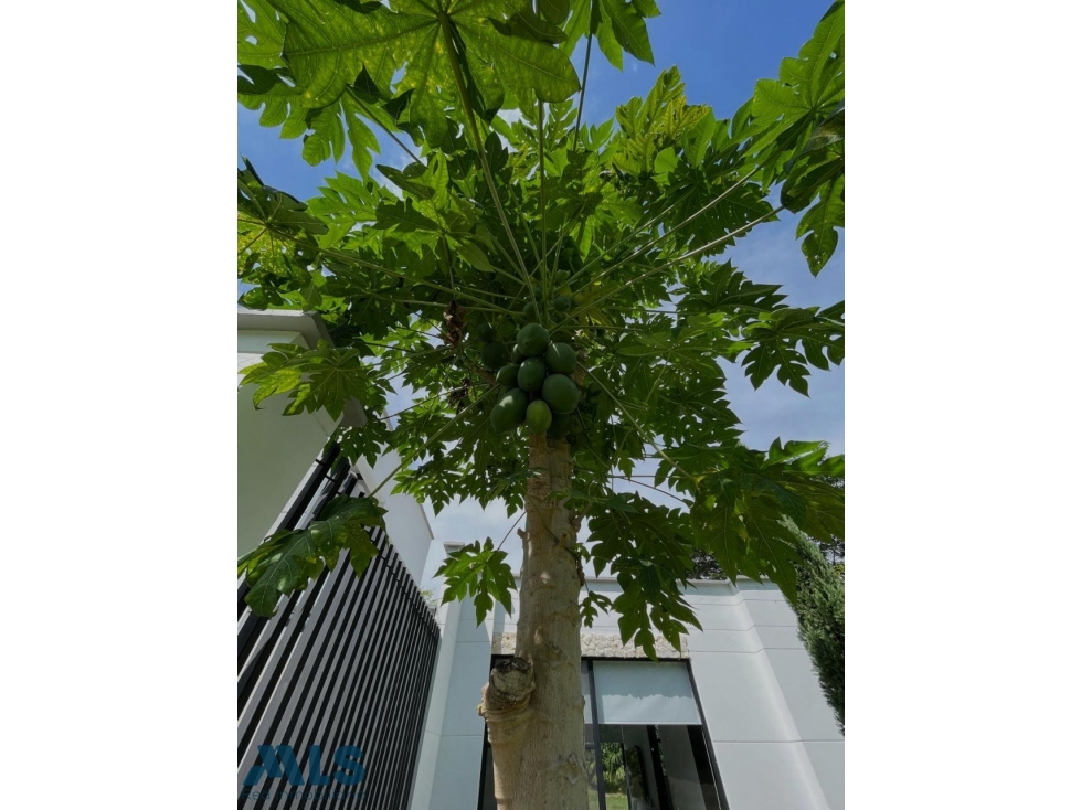 FINCA INDEPENDIENTE EN VENTA EN SANTA FE DE ANTIOQUIA — foto 6