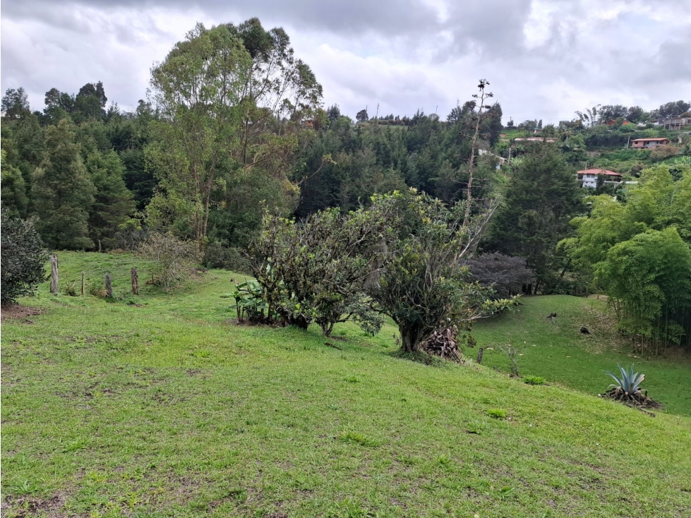 Vive la tranquilidad que mereces, rodeado de naturaleza — foto 4
